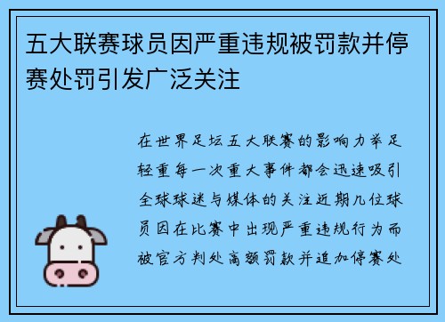 五大联赛球员因严重违规被罚款并停赛处罚引发广泛关注